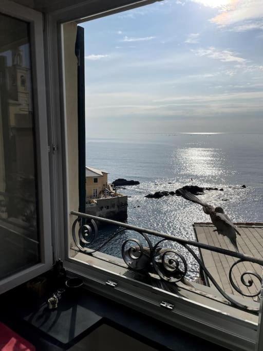 Apartmán Moonlight In Boccadasse Janov Exteriér fotografie